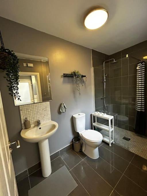 Vibrant City Centre Townhouse With Free Parking Rare Outdoor Patio Belfast Extérieur photo