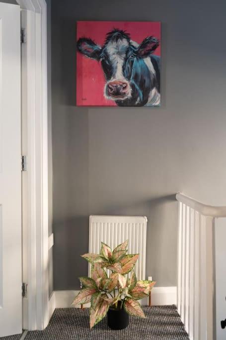 Vibrant City Centre Townhouse With Free Parking Rare Outdoor Patio Belfast Extérieur photo